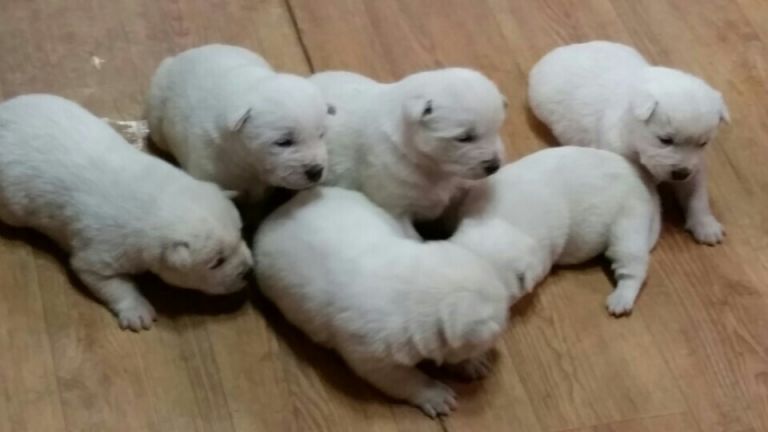 실습장 새식구 생겼어요^^